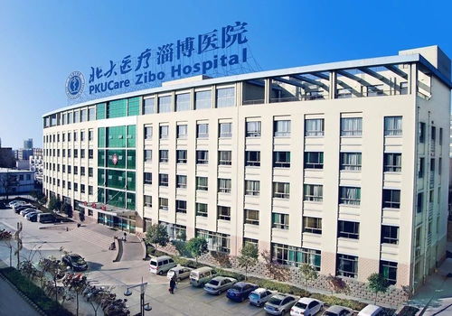 中国医院院长 北大医疗淄博医院,企业医院改制路上的拓荒者